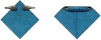 Упаковка двух бутылок