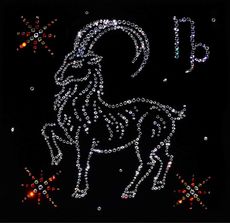 Что подарить козерогу?