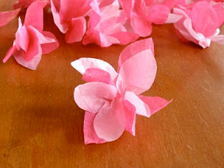 Цветущая сакура