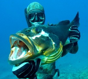 Подводная охота