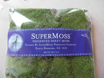 Микротеррариум своими руками